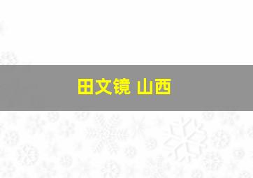 田文镜 山西